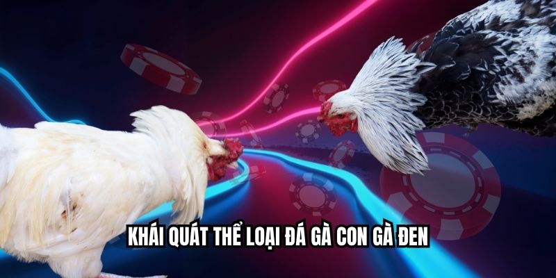Khái quát thể loại đá gà con gà đen